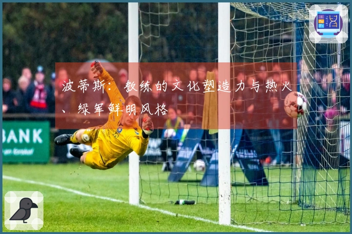 波蒂斯：教练的文化塑造力与热火、绿军鲜明风格
